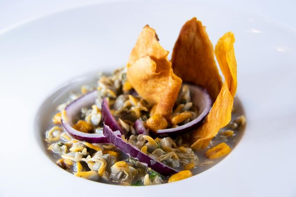 Die Revolution der KI im Gesundheitswesen: Potenziale und Hindernisse im digitalen Wandel